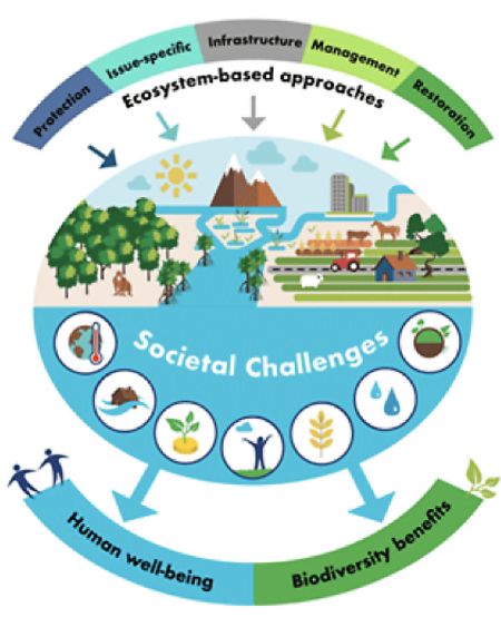 Climate Change and Ecosystem Adaptation