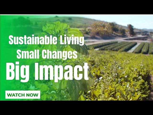 Sustainable Living: Small Changes, Big Environmental Impact